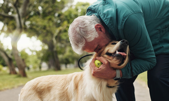 Force musculaire : un homme joue à la balle avec son chien à l’extérieur et le caresse.  